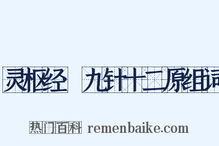 灵枢经·九针十二原组词是什么意思的图片